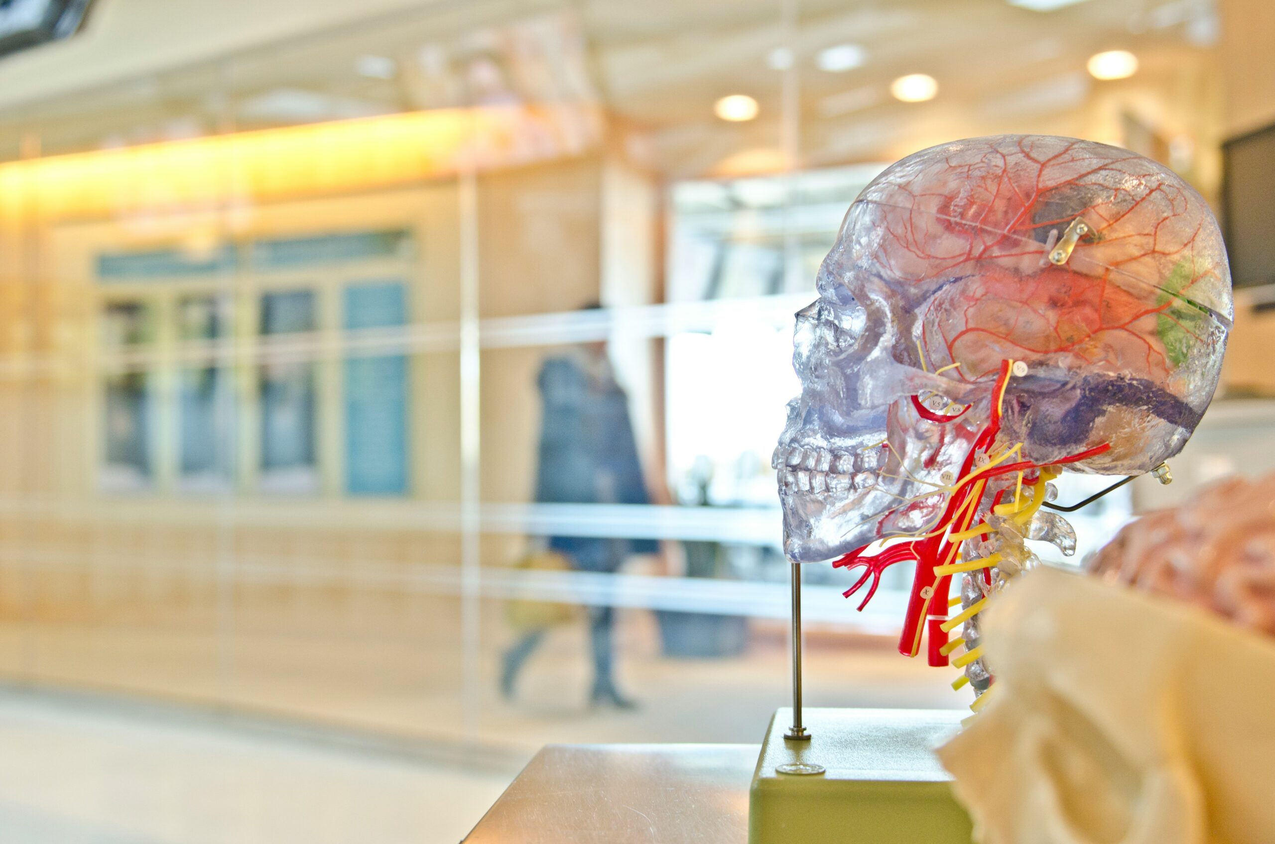 Perché è giusto il numero chiuso a medicina
