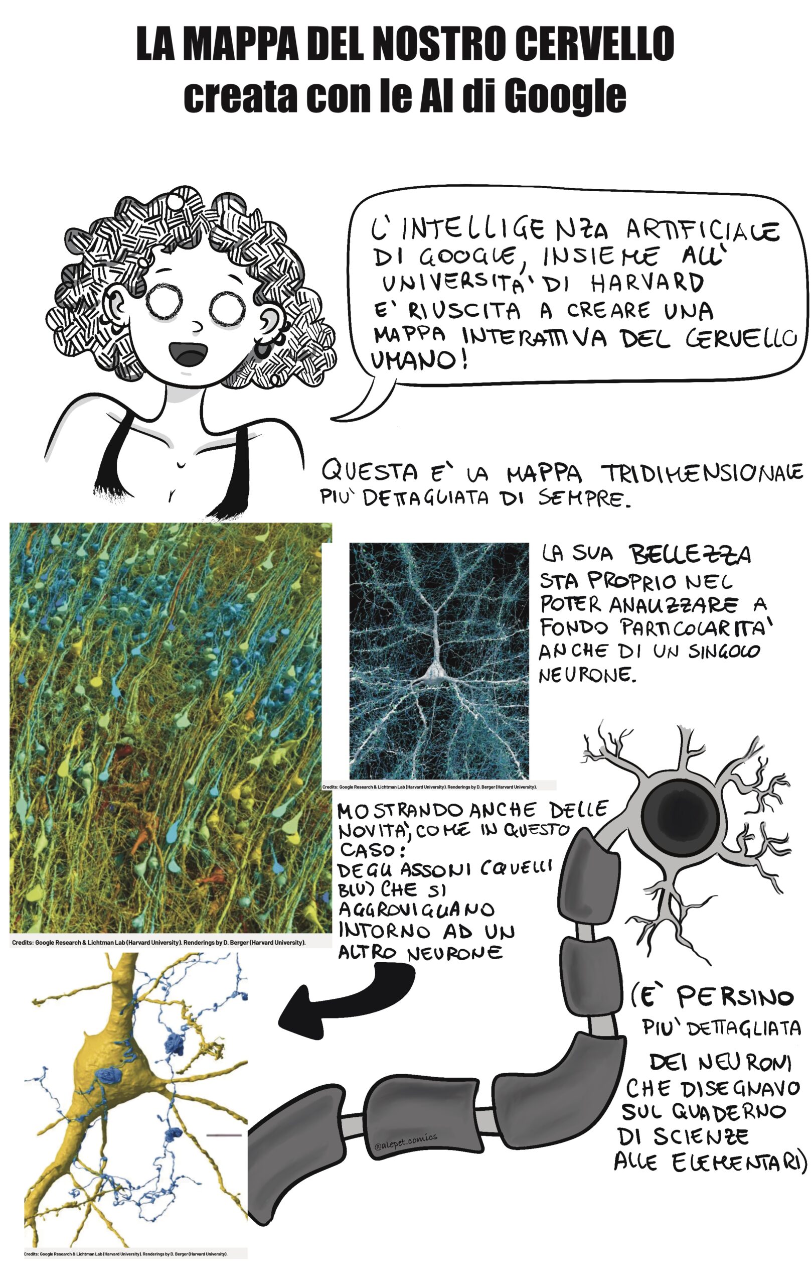 Striscia di Alessandra Petrachi #8