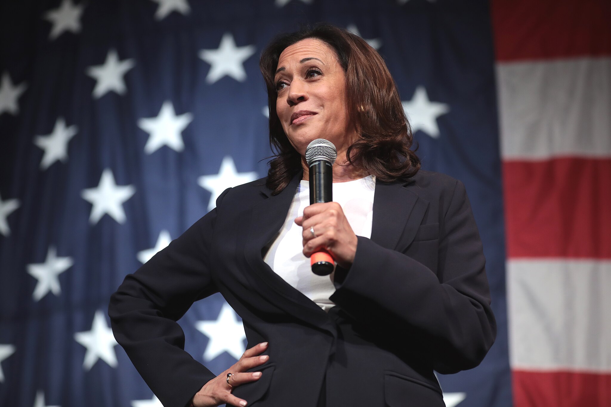 Kamala Harris è Brat: la Pop Culture nella Politica Americana