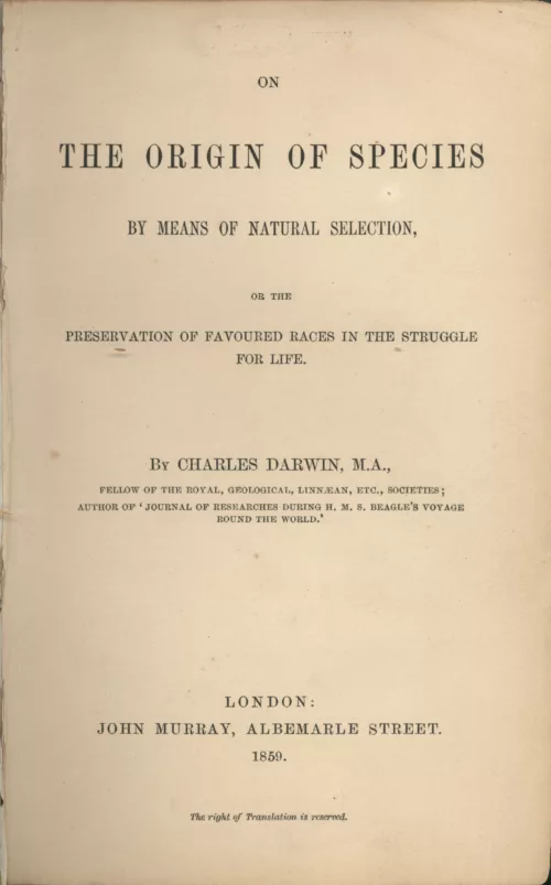 scienza